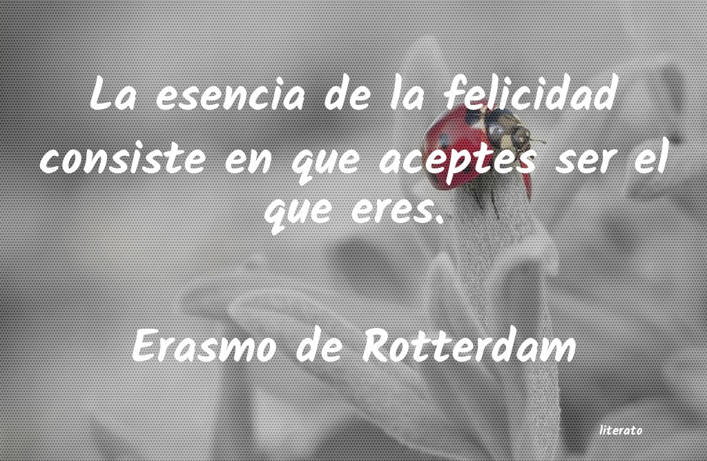 Frases de Erasmo de Rotterdam