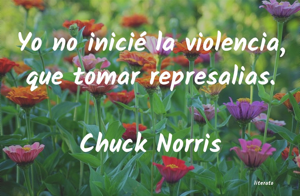 Frases de Chuck Norris