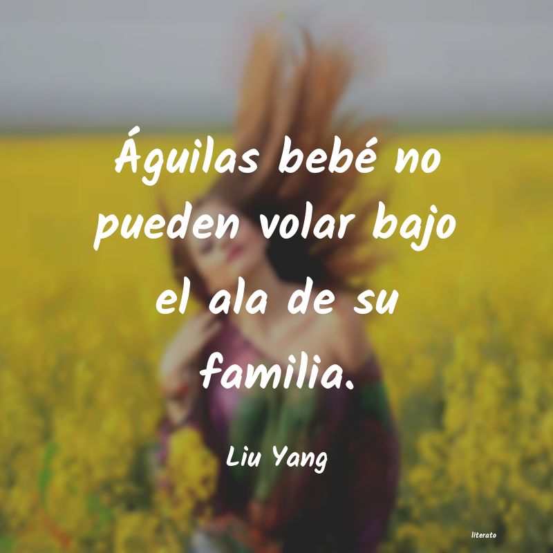 Frases de Liu Yang