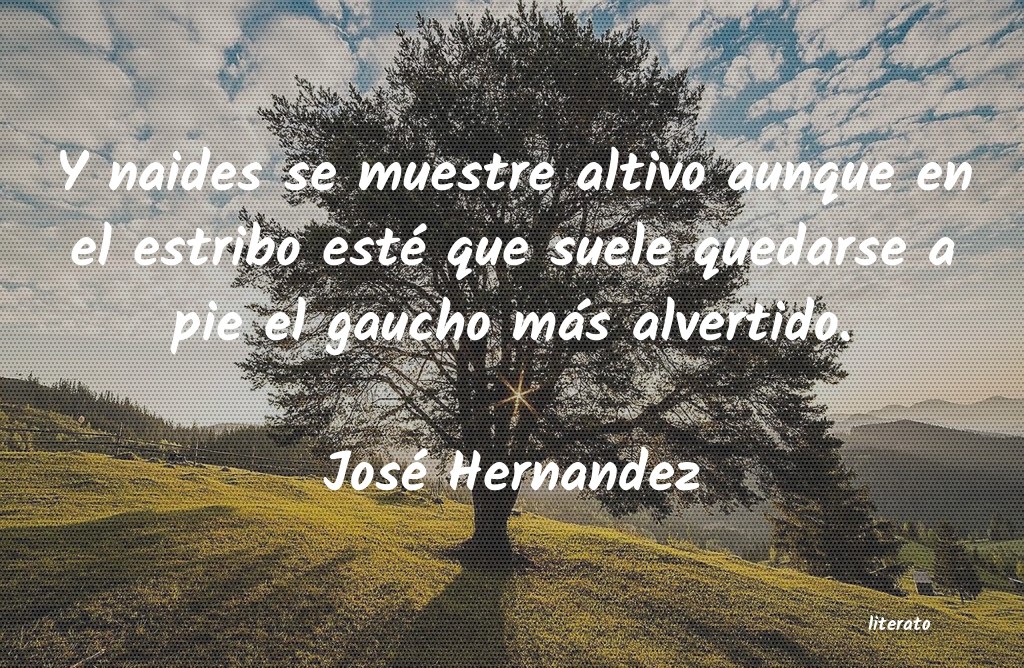Frases de José Hernandez