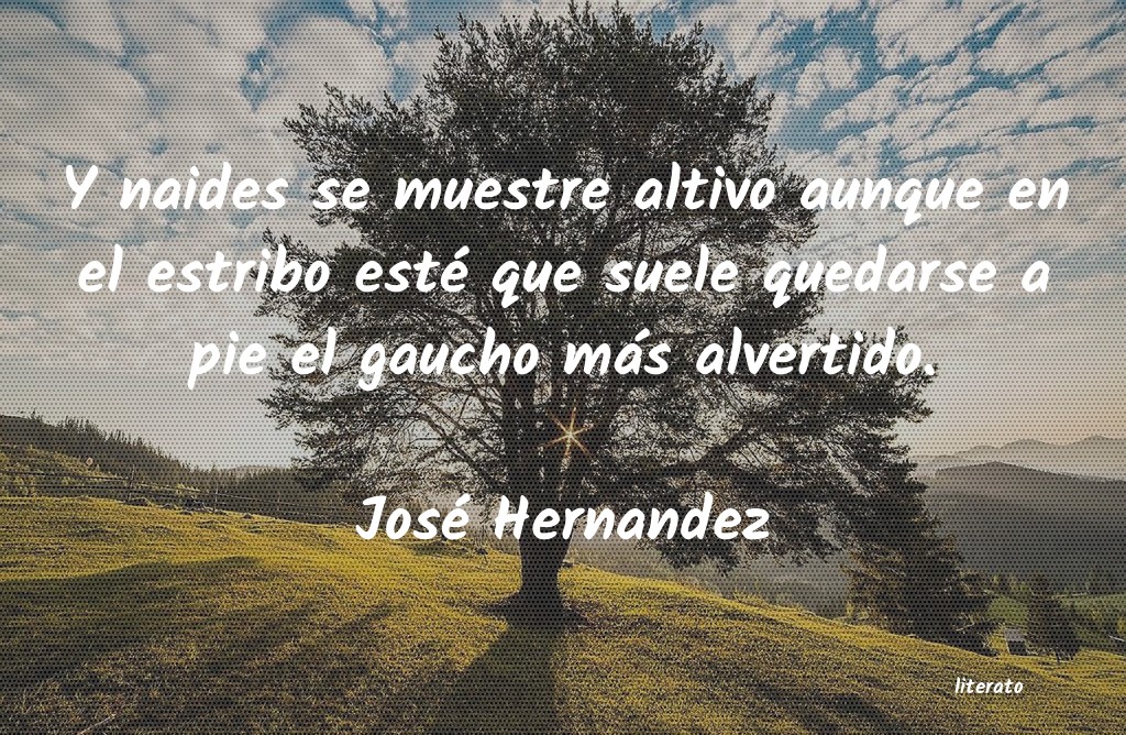 frases de José Hernandez
