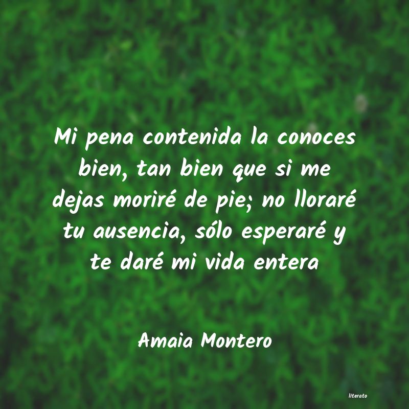 frases de Amaia Montero
