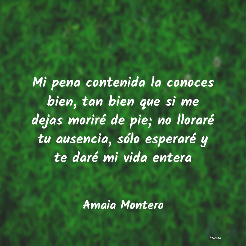 Frases de Amaia Montero