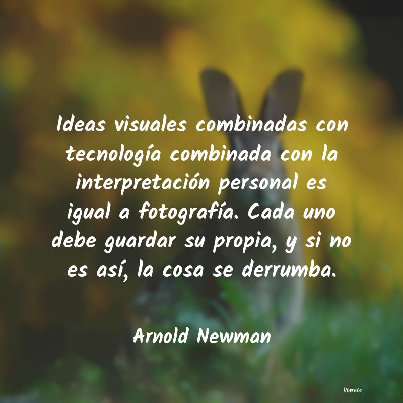 Frases de Arnold Newman