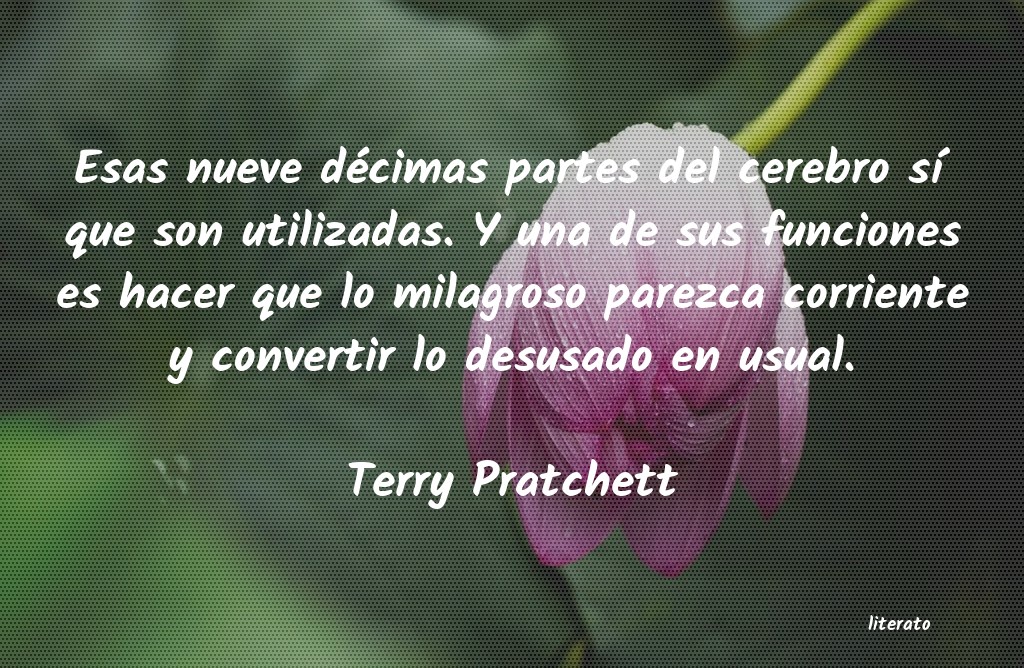 Frases de Terry Pratchett