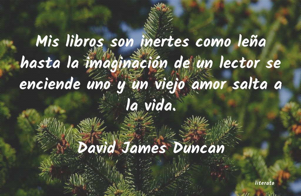 Frases de David James Duncan