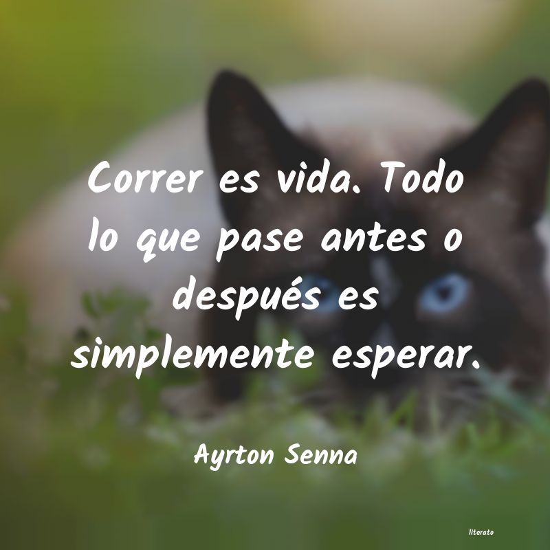 Frases de Ayrton Senna