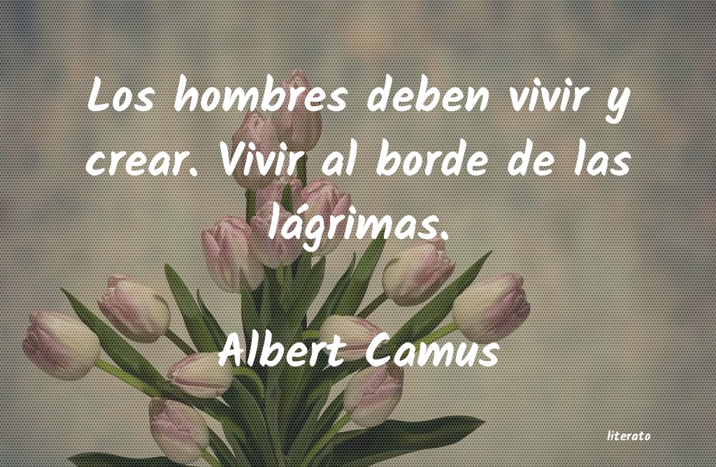 frases de Albert Camus