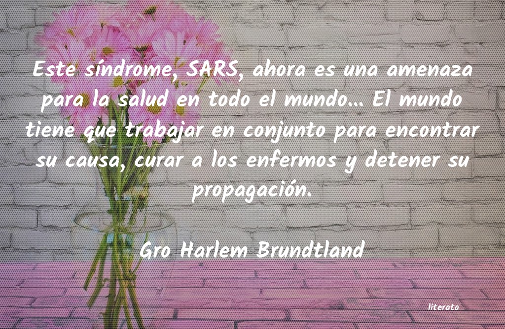 Frases de Gro Harlem Brundtland