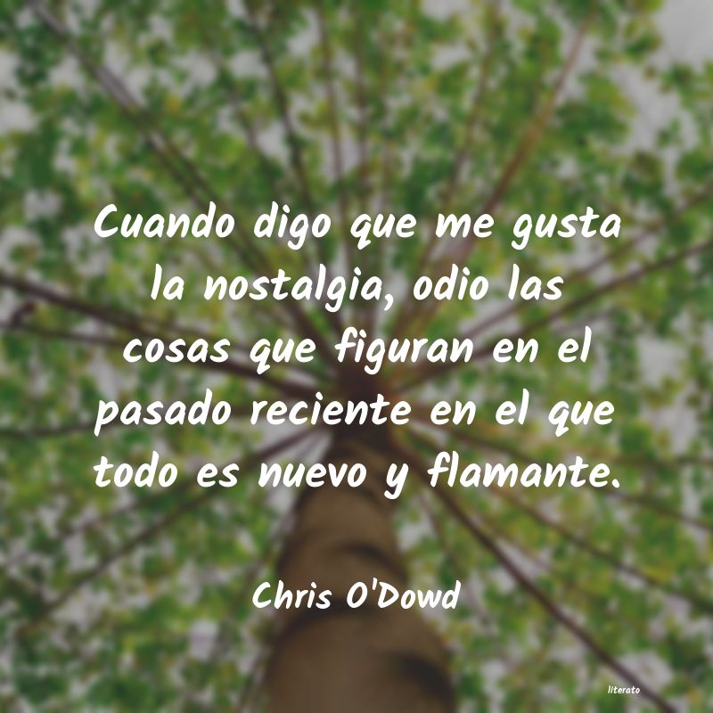 frases de Chris O'Dowd