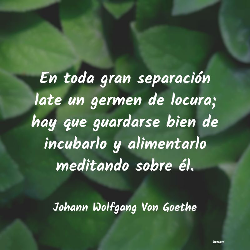 frases de Johann Wolfgang Von Goethe