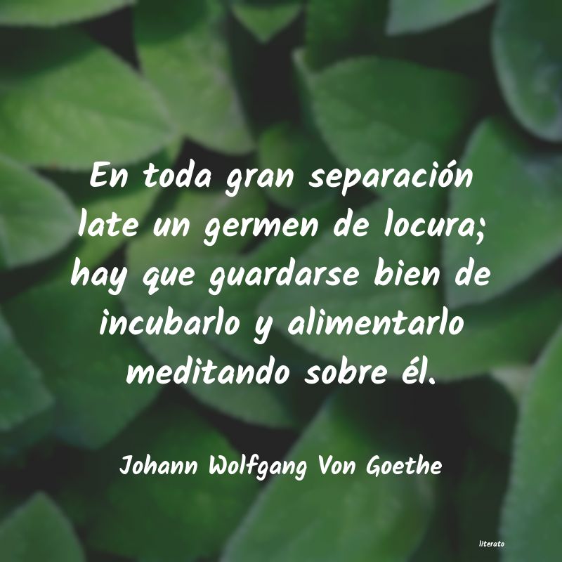 Frases de Johann Wolfgang Von Goethe