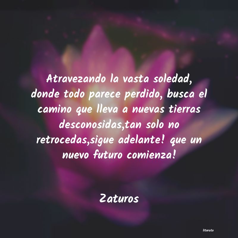 frases de Zaturos
