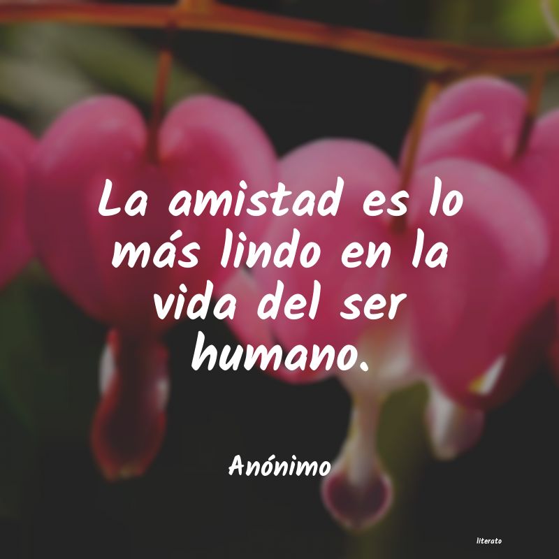 frases