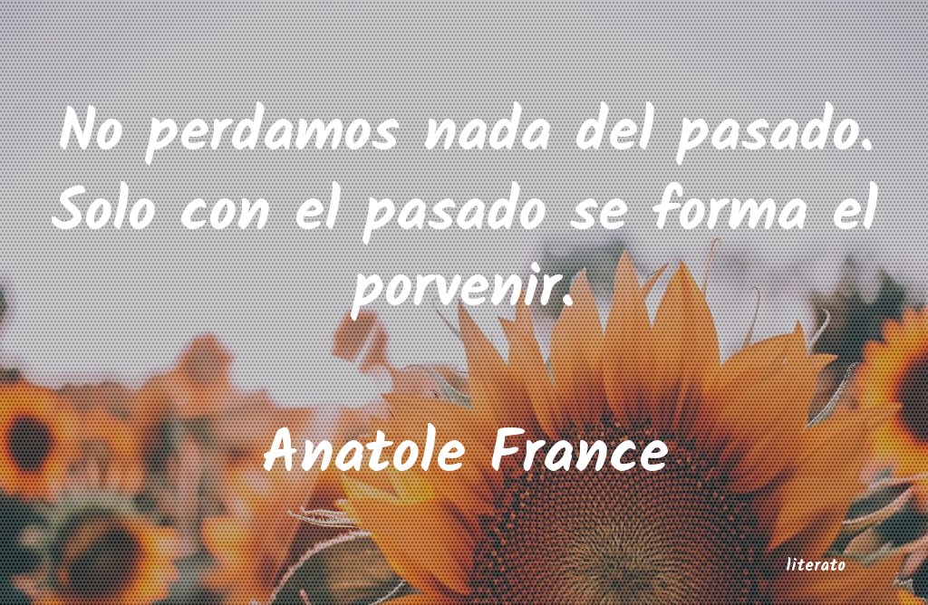 Frases de Anatole France