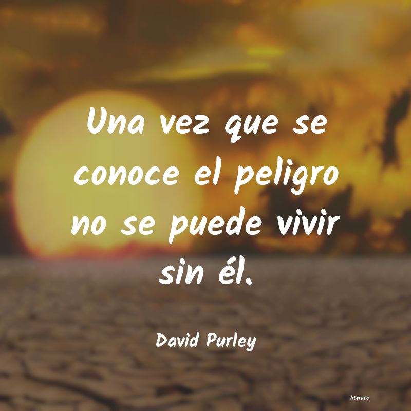 Frases de David Purley