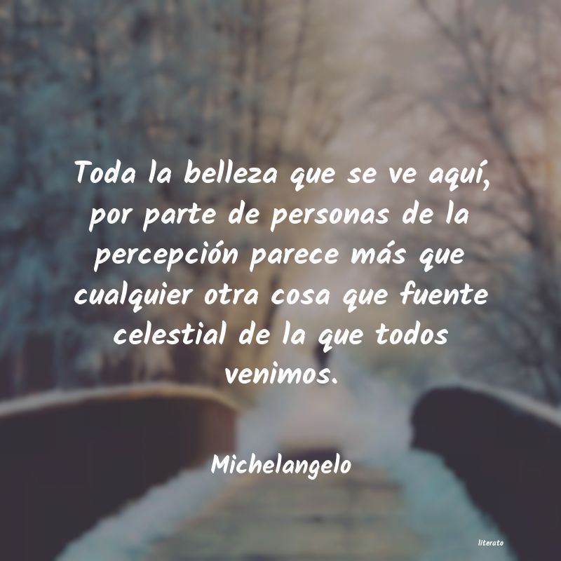 Frases de Michelangelo