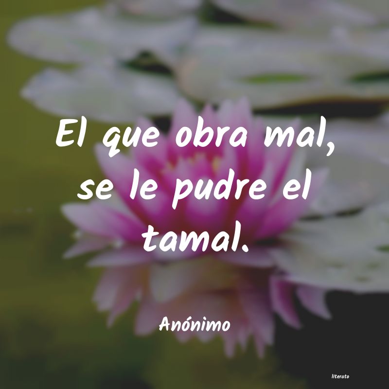 frases