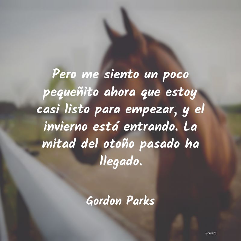 frases de Gordon Parks