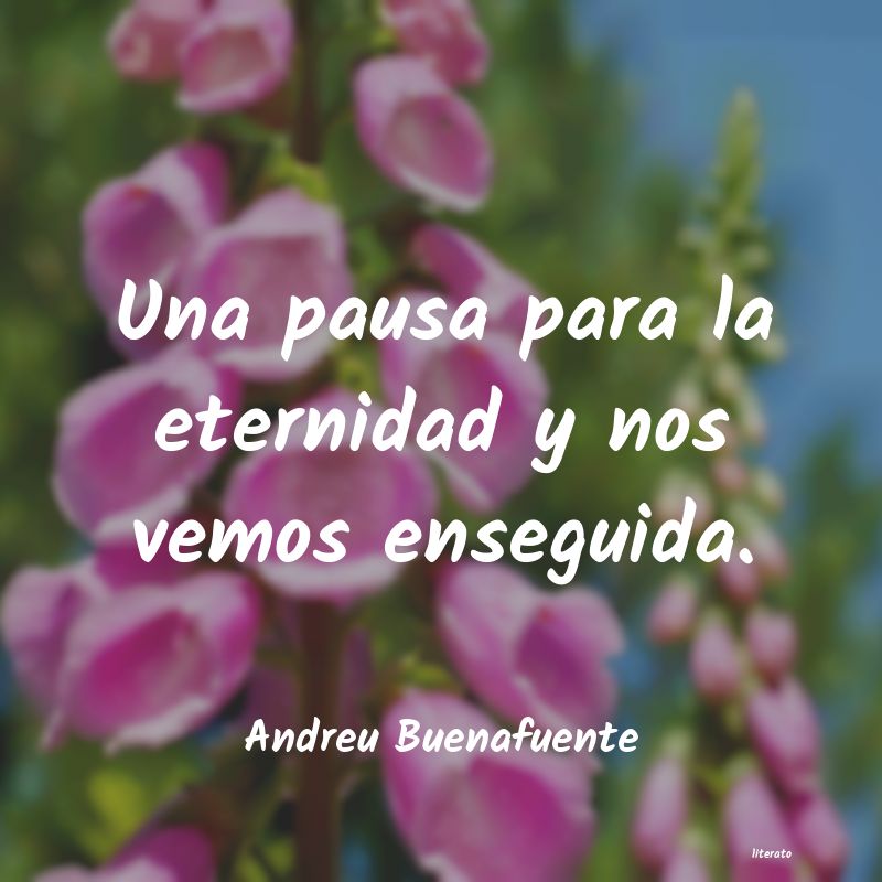 frases de Andreu Buenafuente