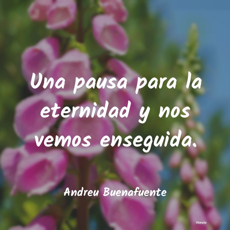 Frases de Andreu Buenafuente