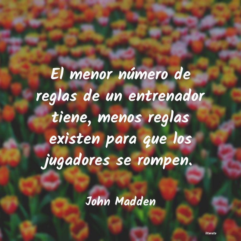 Frases de John Madden