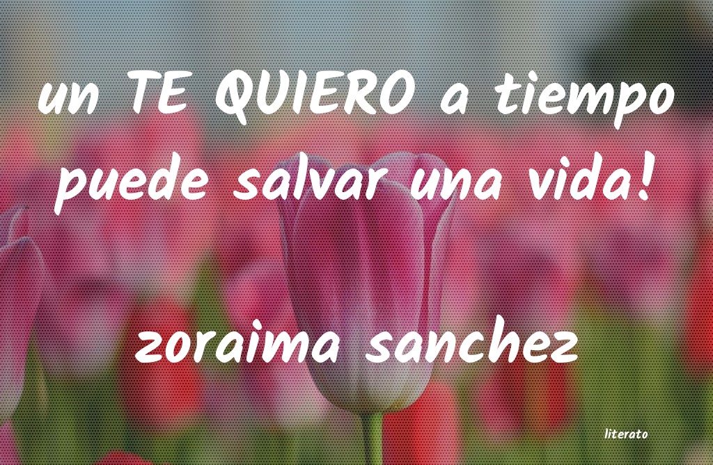 Frases de zoraima sanchez