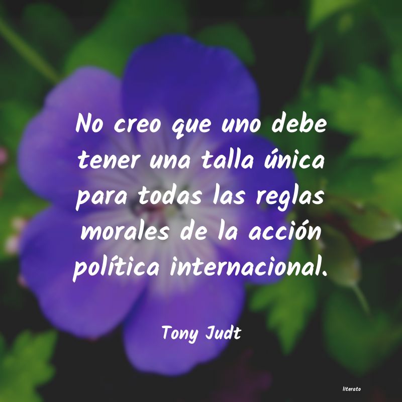 Frases de Tony Judt