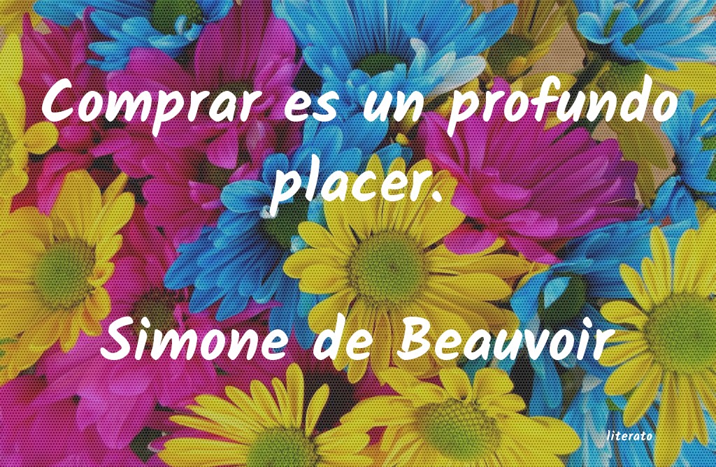 frases de Simone de Beauvoir