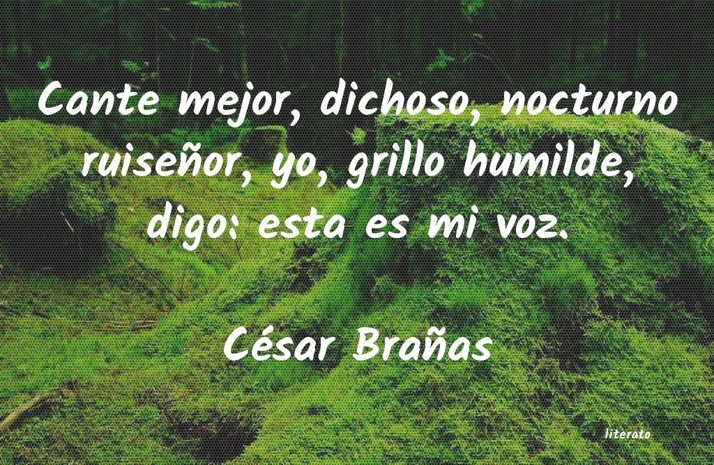 Frases de César Brañas