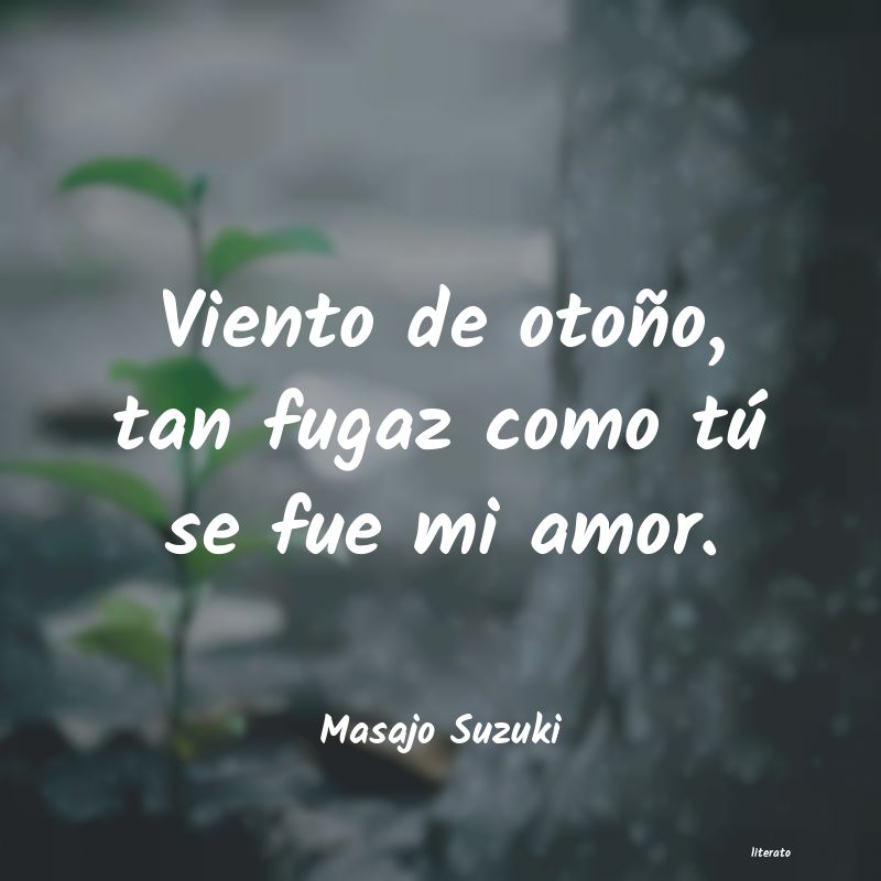 frases de Masajo Suzuki