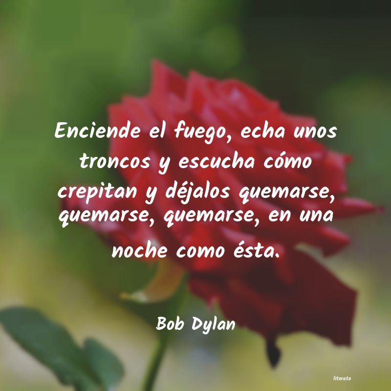 Frases de Bob Dylan