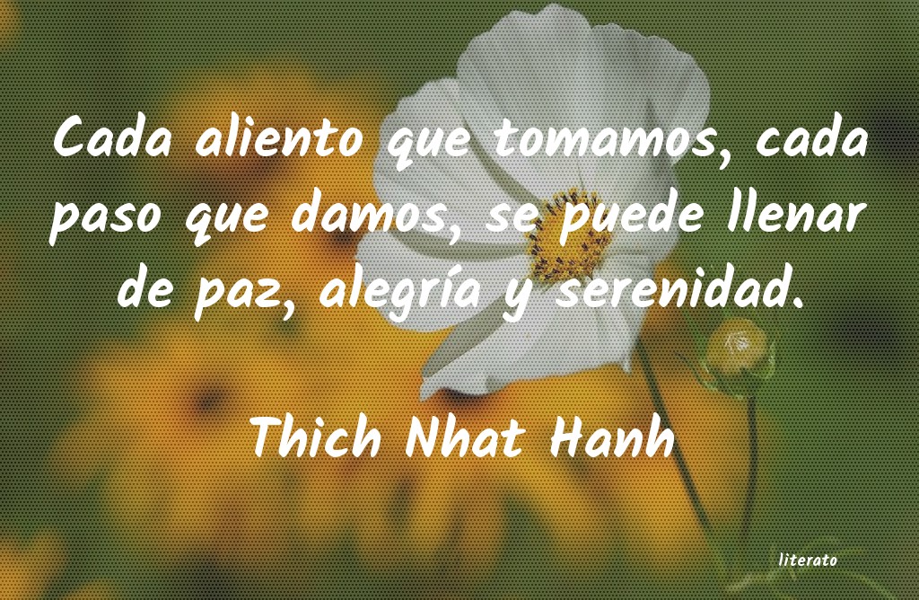 Frases de Thich Nhat Hanh