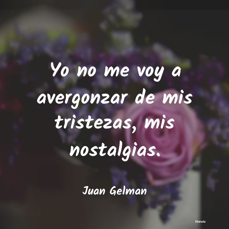 Frases de Juan Gelman