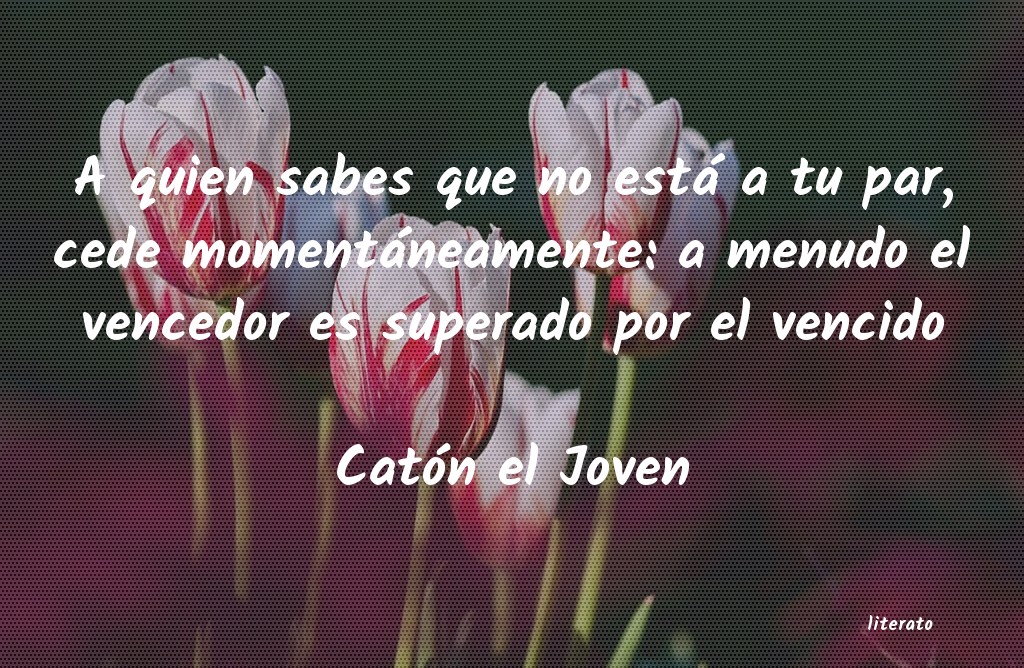 frases de Catón el Joven