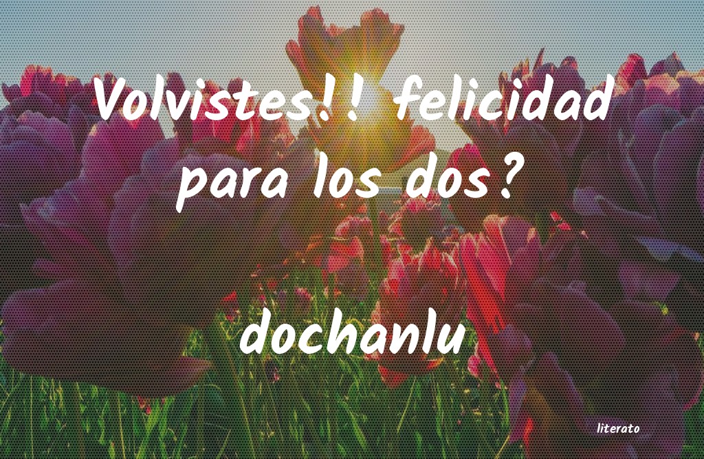 frases de dochanlu