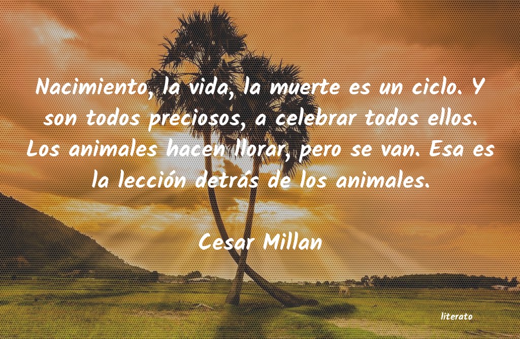 Frases de Cesar Millan