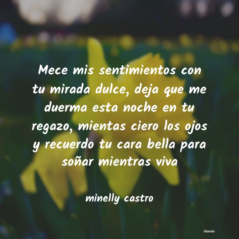Frases de minelly castro