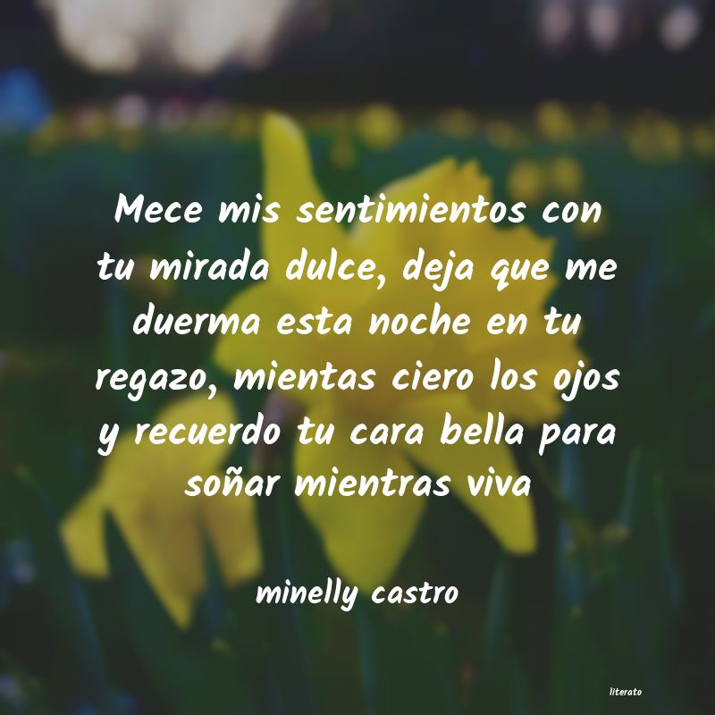 frases de minelly castro
