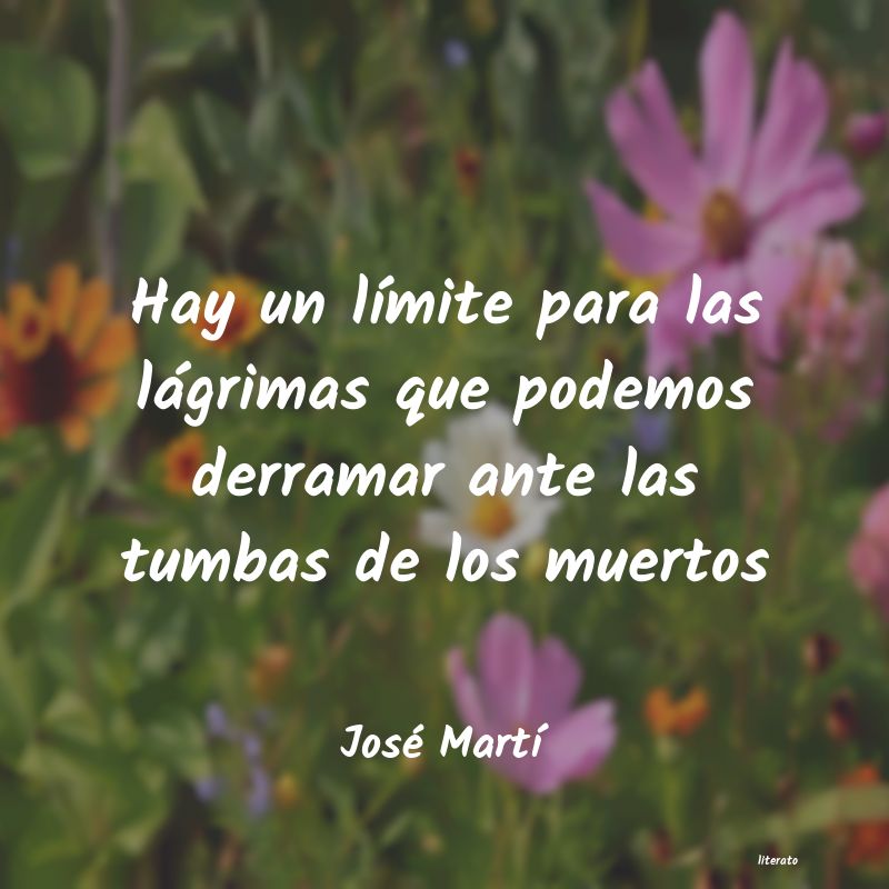 Frases de José Martí