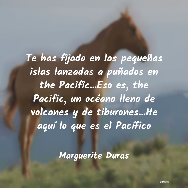 frases de Marguerite Duras