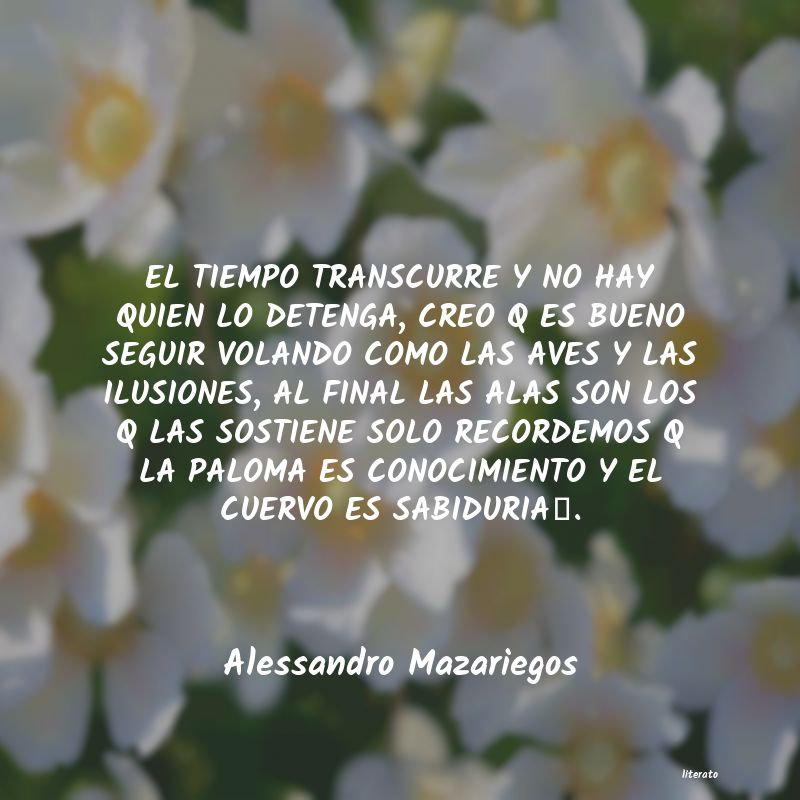 Frases de Alessandro Mazariegos