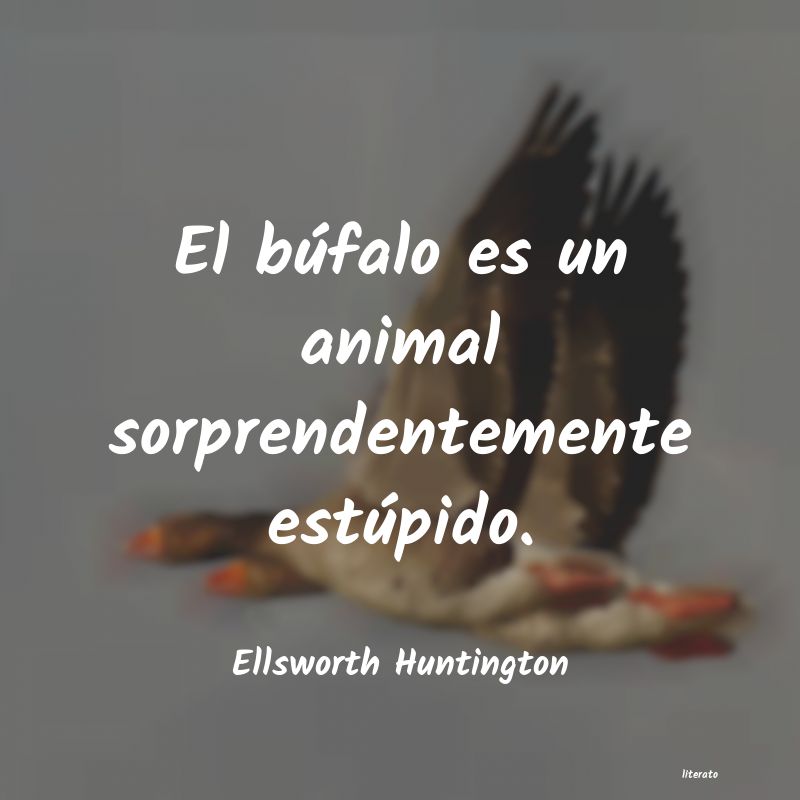 frases de Ellsworth Huntington