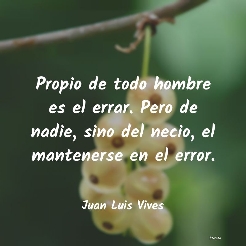 Frases de Juan Luis Vives