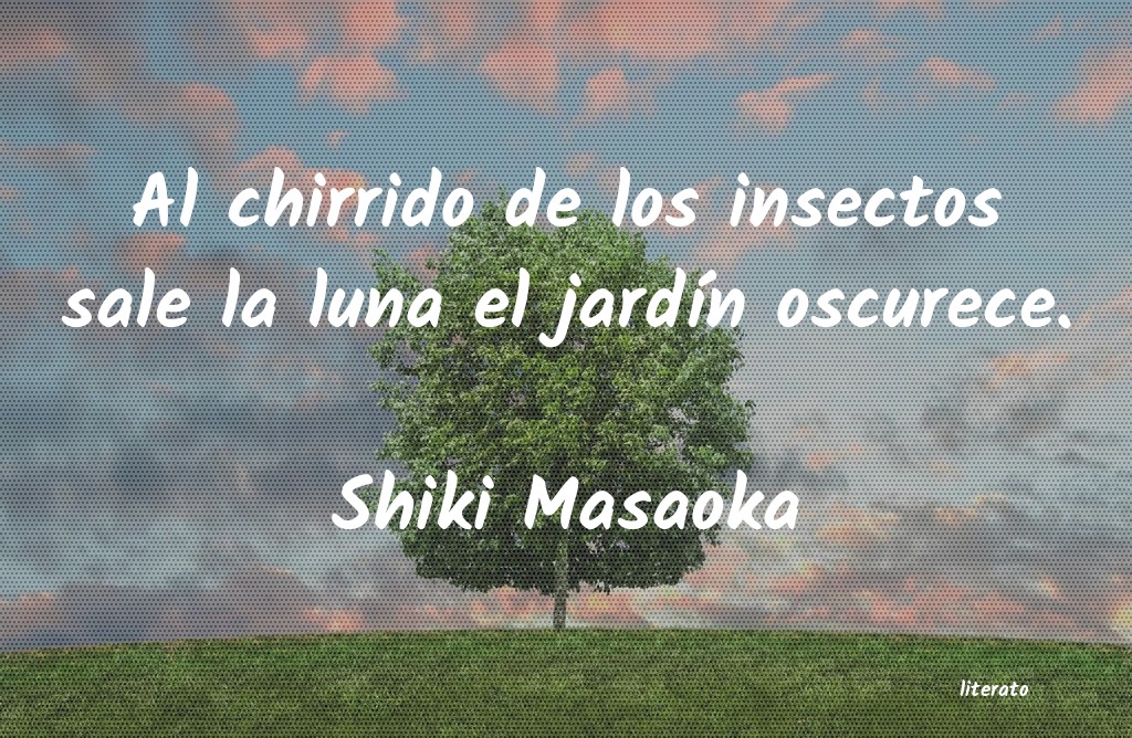 frases de Shiki Masaoka