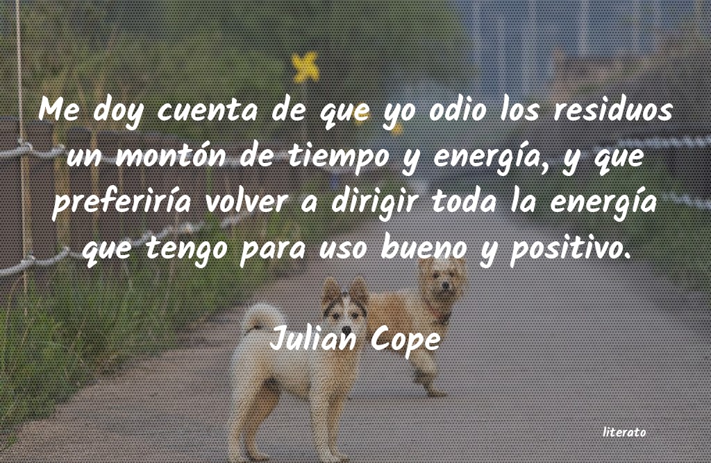 frases de Julian Cope