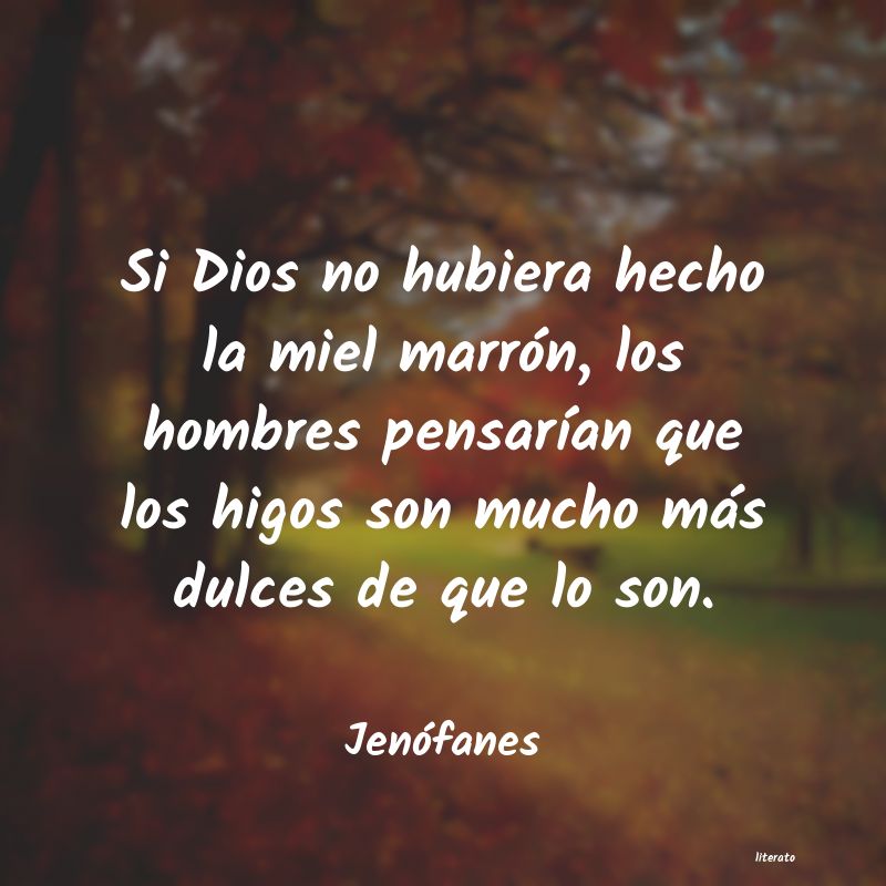 Frases de Jenófanes