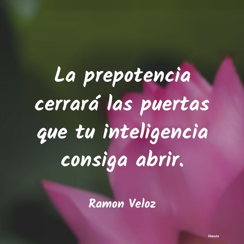 frases de Ramon Veloz