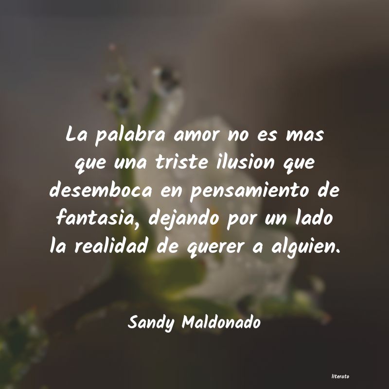 Frases de Sandy Maldonado