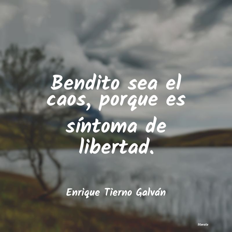 frases de Enrique Tierno Galván